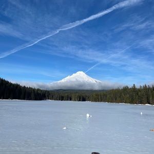 Meet your Posher, Erik